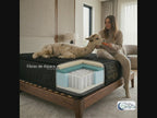 Alpaca Premium Híbrido